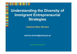 Understanding the Diversity of Immigrant Entrepreneurial Strategies