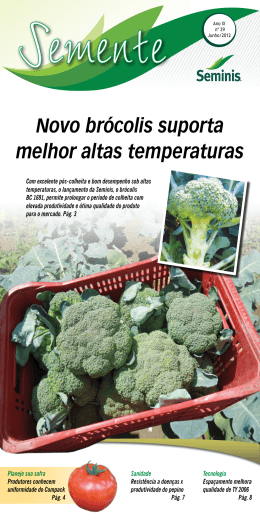 Novo brócolis suporta melhor altas temperaturas