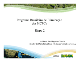 Programa Brasileiro de Eliminação dos HCFCs Etapa 2