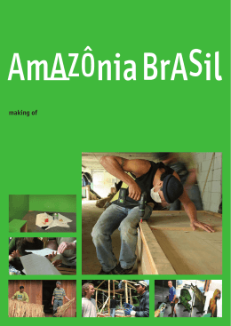 Amazonia Brasil - conservation