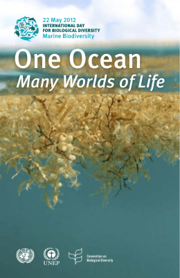 One Ocean, Many Worlds of Life. - Convention on Biological Diversity