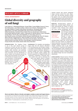 Global diversity and geography of soil fungi