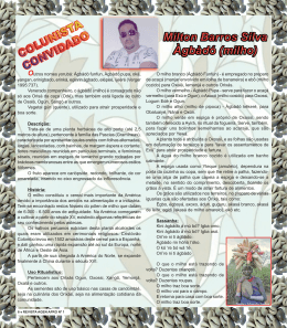 PAG 6 COLUNISTA CONVIDADO MILTON BARROS SILVA.pmd