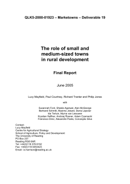 The role of small and medium-sized towns in rural development