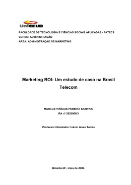 Marketing ROI: Um estudo de caso na Brasil Telecom