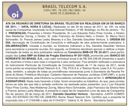 BRASIL TELECOM S.A.