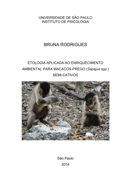 bruna rodrigues - Biblioteca Digital de Teses e Dissertações da USP