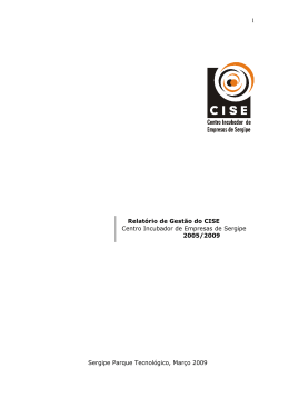 1 Relatório de Gestão do CISE Centro Incubador de Empresas de