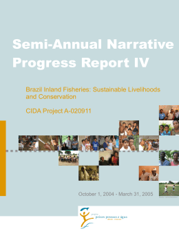 Semi-Annual Narrative Progress Report IV