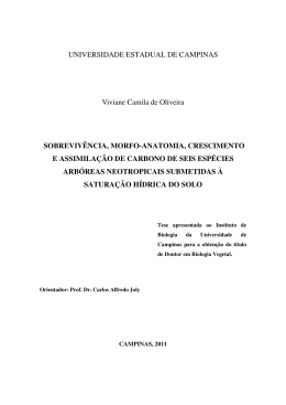 Tese de Doutorado Viviane Camila de Oliveira DEFINITIVA