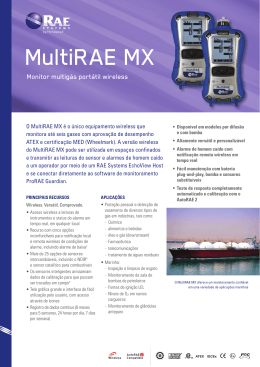 MultiRAE MX - RAE Systems