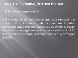 UNIDADE 5 – OXIDAÇÕES BIOLÓGICAS 5.1 – Cadeia respiratória