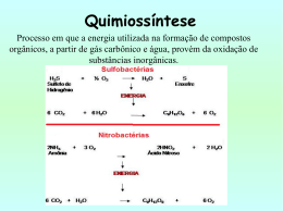 Quimiossíntese - biologiaongep