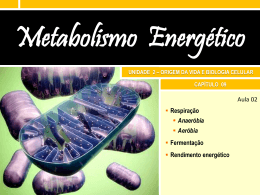 9.2 Metabolismo energético heterotrófico Slides da
