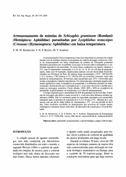 Armazenamento de múmias de Schizaphis graminum (Rondani