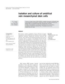 Isolation and culture of umbilical vein mesenchymal stem cells