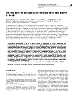 On the fate of extracellular hemoglobin and heme in brain