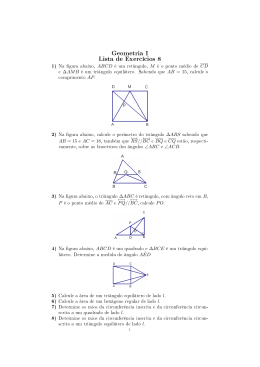 Geometria I Lista de Exercícios 8