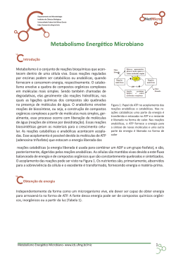 Metabolismo Energético Microbiano.indd