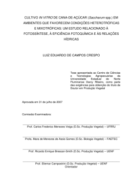 CULTIVO IN VITRO DE CANA-DE-AÇÚCAR (Saccharum spp