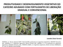 Produtividade e desenvolvimento vegetativo do cafeeiro adubado