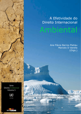 a efetividade do direito internacional ambiental