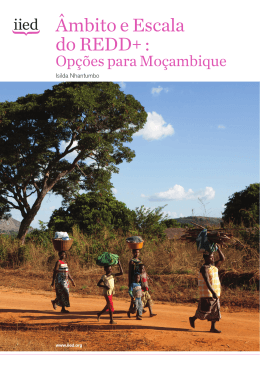 Clique para ler em Inglês - Fundação Amazonas Sustentável