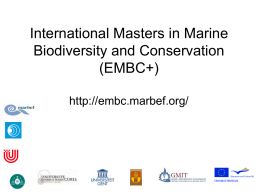 International Masters in Marine Biodiversity and Conservation