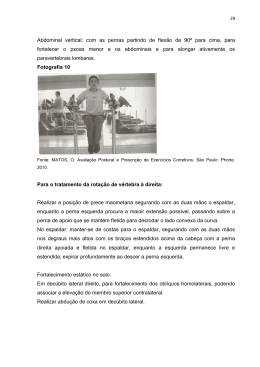 PDF - Dimitri Petrossian Barbosa Cavalcanti 2