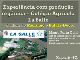Colégio Agrícola La Salle Morango – Batata-Doce