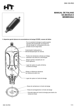 manual de falhas na bexiga e membrana - HT