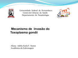 Mecanismo de invasão do Toxoplasma gondii