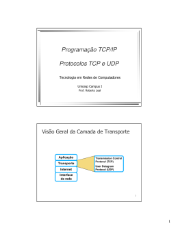 Programação TCP/IP Protocolos TCP e UDP