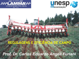 Prof. Dr. Carlos Eduardo Angeli Furlani