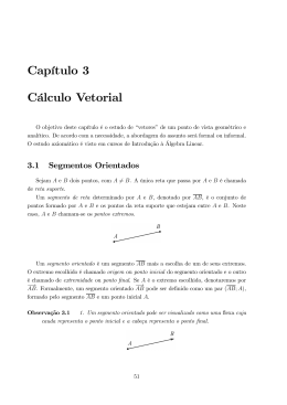 Cálculo Vetorial: Texto sobre Vetores.