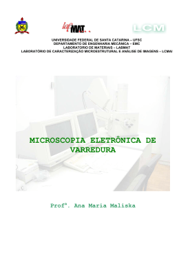 MICROSCOPIA ELETRÔNICA DE VARREDURA Prof