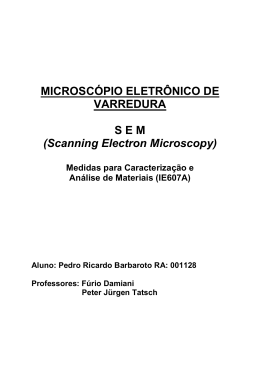 MICROSCÓPIO ELETRÔNICO DE VARREDURA S E M