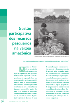 Gestão participativa dos recursos pesqueiros na várzea amazônica