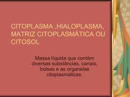 citoplasma ,hialoplasma, matriz citoplasmática ou citosol