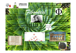 Leonardo Fibonacci, também conhecido com Leonardo de Pisa foi