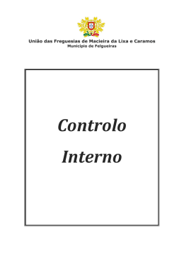 Controlo Interno-v1