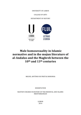 Male homosexuality in Islamic normative and in the mujun literature