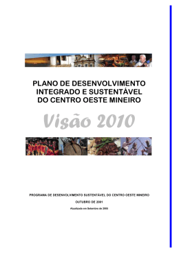 Plano Desenvolvimento Centro Oeste Mineiro 2010