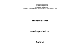 Relatório Final (versão preliminar) Anexos