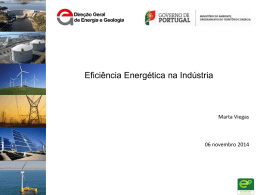 Plano Nacional de Acção para a Eficiência Energética • SGCIE