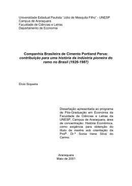 Companhia Brasileira de Cimento Portland Perus: contribuição para