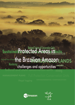 Protected Areas in the Brazilian Amazon