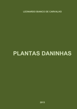 PLANTAS DANINHAS