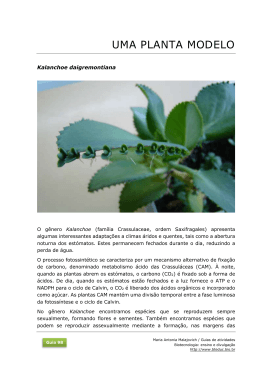 Kalanchoe daigremontiana, uma planta modelo PDF (P)