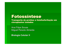 Fotossíntese - Bio Digital